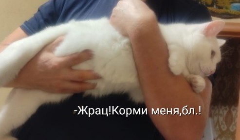 Было - Стало
