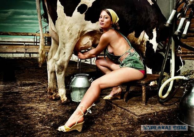 Телка с сиськами без лифчика 18+