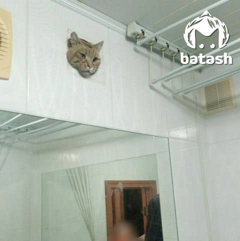 История, к счастью, с хорошим концом: в Уфе спасли котика, попавшего в вентиляцию