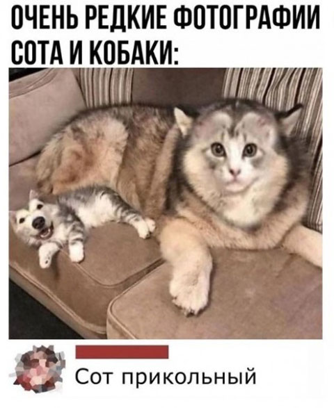 Среда, как рифма к пятнице