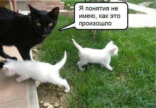 Так себе картинки 28.07.24