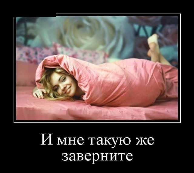 Сегодня отмечается День укутывания в пледы