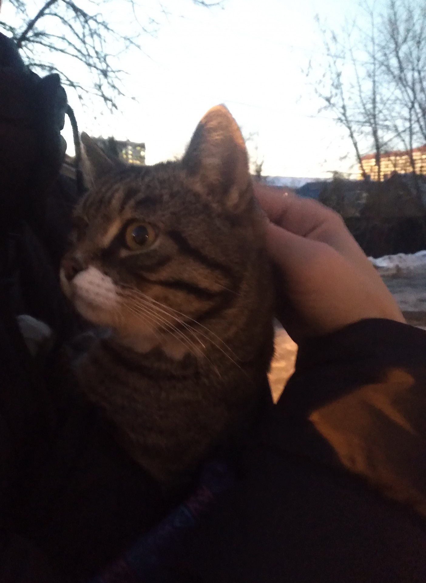 Ну вот я дважды раб