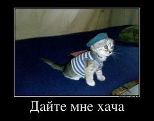 Кошачий косплей