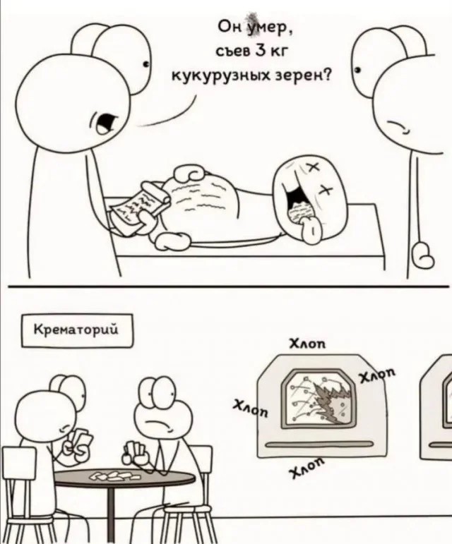 Молодая жена