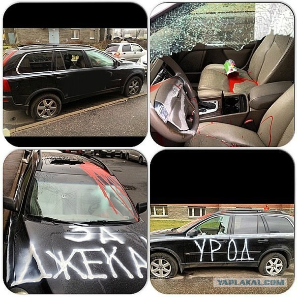 Зоошиза в атаке