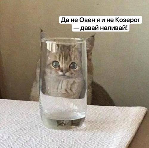 Овнам, Ракам, Весам и Козерогам нельзя пить алкоголь в ближайшие 14 лет