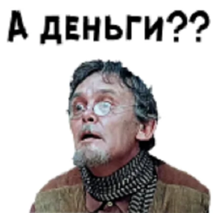 Бродячая кошка принесла своего котёнка в ветеринарную клинику