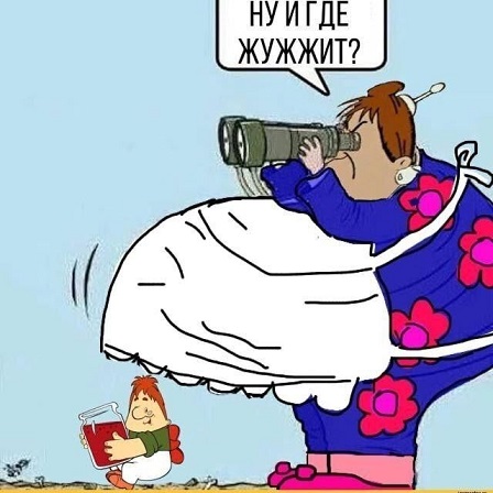 Мой кот