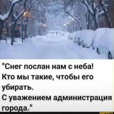 Высота сугробов в Москве достигла 60 см