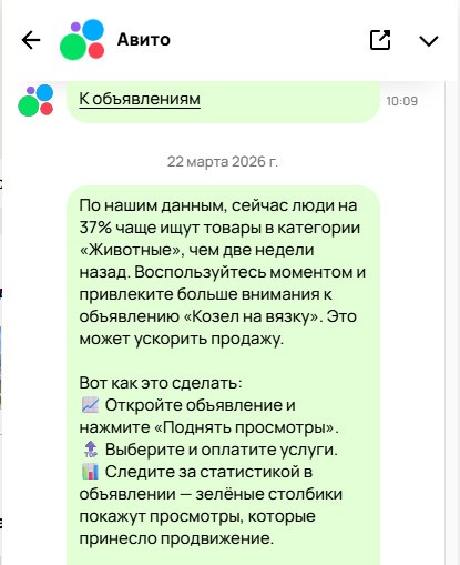 Авито тронулись умом: 500 просмотров стоят 3200 рублей
