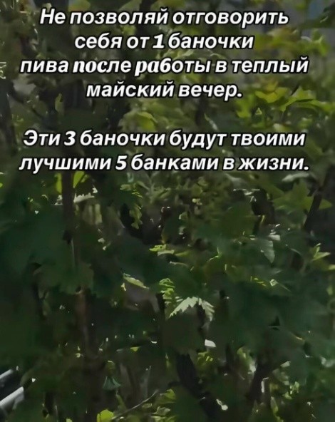 Картинки для деградации 209 (разной степени свежести)