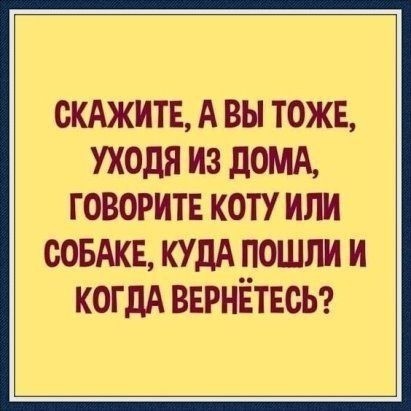 Картинки для деградации 252 (разной степени свежести)
