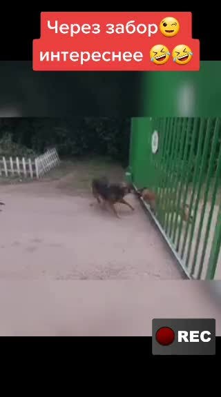 Держите меня семеро