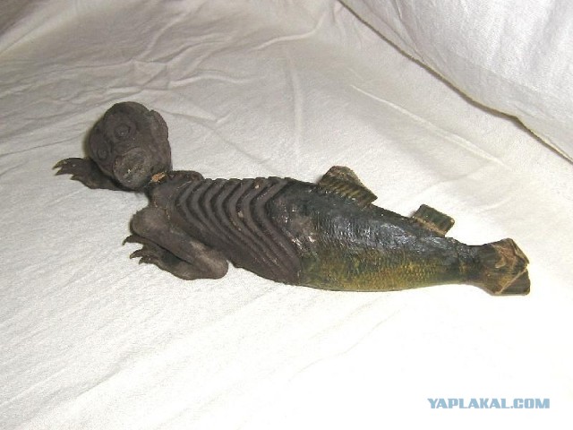 Ужасы морей и океанов