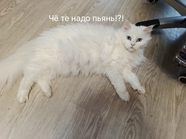 Бедность мужчины стала главной причиной разводов в России, — опрос