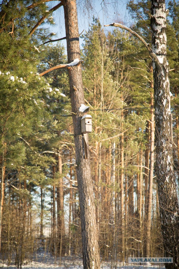 Белорусская деревня.