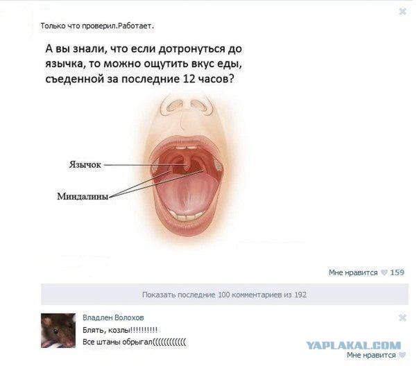 Смешные комментарии из социальных сетей (апрель)