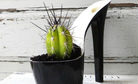 Смешная походка