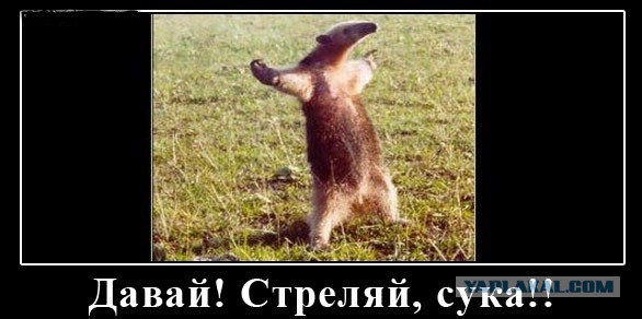 На Марсе найдена могила с крестом