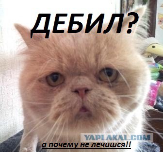 Картинки
