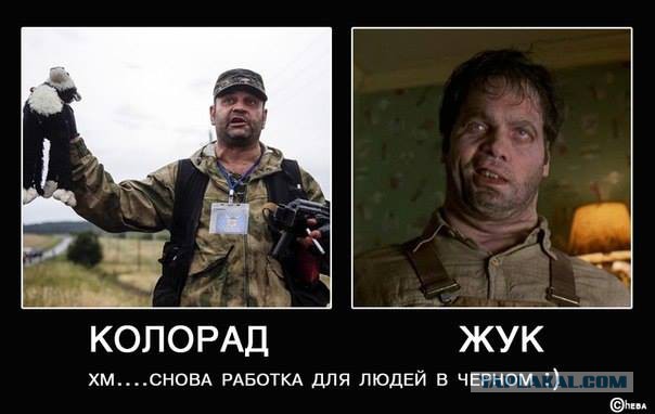 Вранье по картинкам