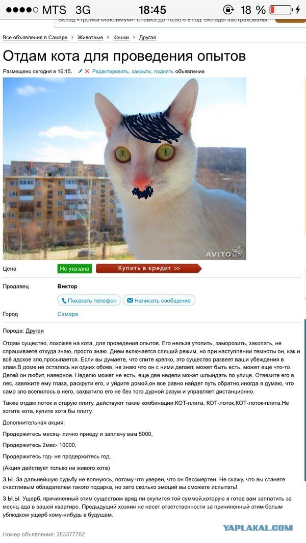 Продам кота и точка)