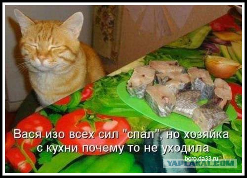 Когда устоять невозможно!