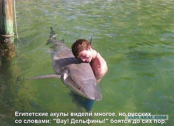 И тут-то я понял, что нас всех объединяет