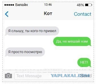 Если бы коты писали смс 2