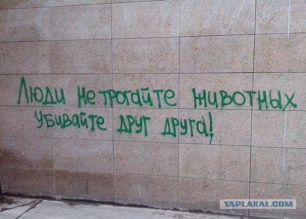 Охота на китов в СССР - фото 1965г.