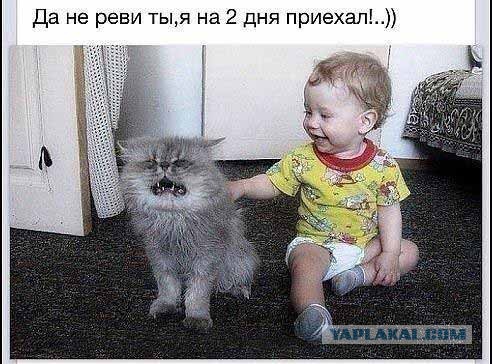 Картинки из сети к пятнице