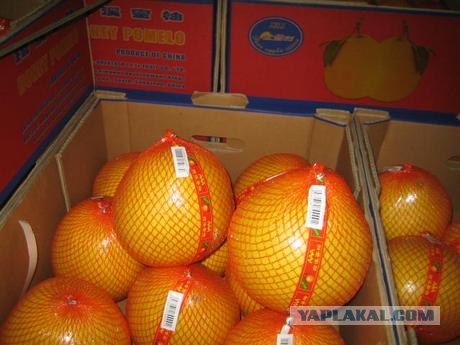 Эмммм....  Я прям в замешательстве.