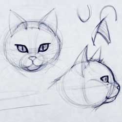 Девушка нарисовала котуху для котовторника