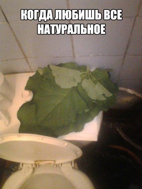 Картинки  из сети