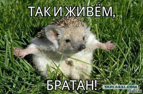 Шоу маст гоу офф