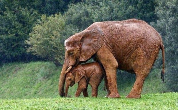 Подборка картинок 29.02.16