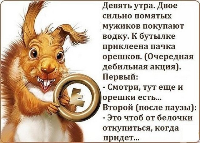 Картинки из ваших этих интернетов