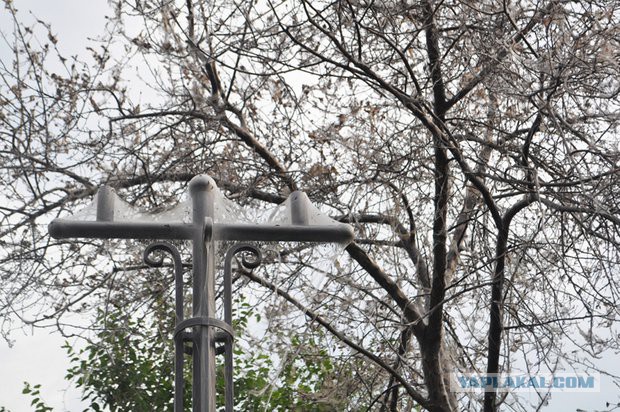 7 российских городов, из которых лучше уехать немедленно