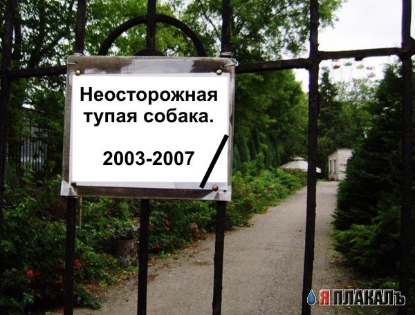 Осторожно, злая собака