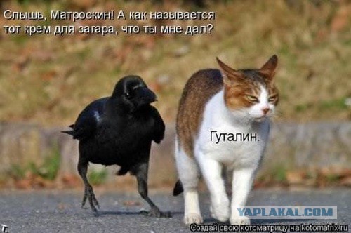 Вот это маслецо в моторе