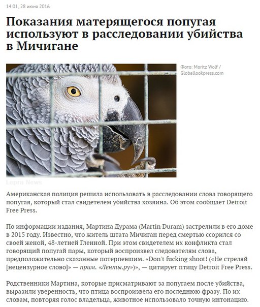 Порция позитива на вторник