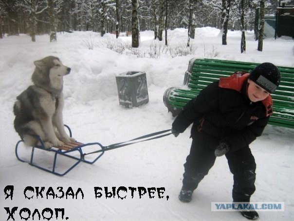 Подборка картинок