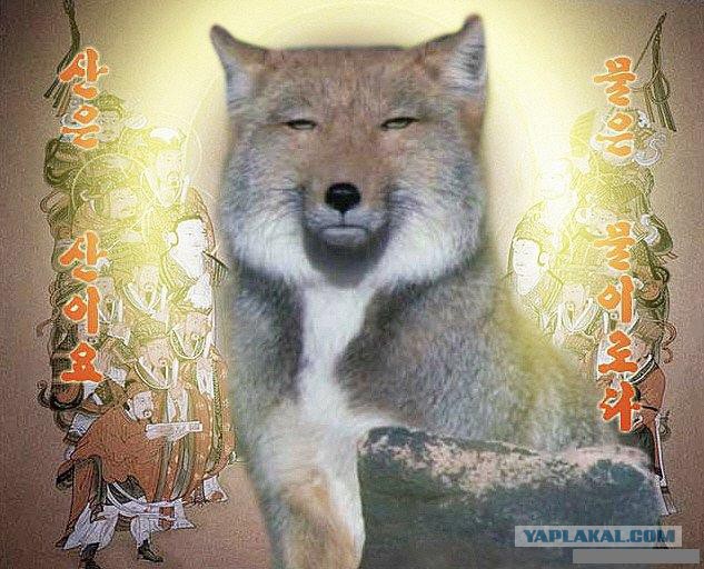Яповцы, оновогоживайтесь!