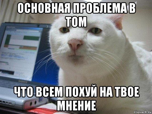 Вот что должно быть вместо "СтопХама"!