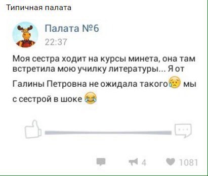 Ужасы и приколы из соцсетей 18+