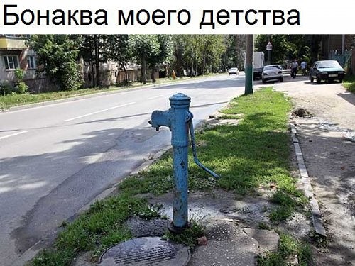 Подборка интересных и веселых картинок