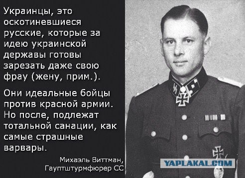 Верховная Рада запретила георгиевскую ленту на Украине