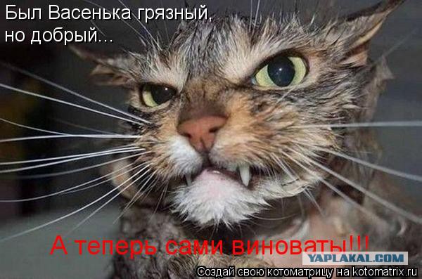 Кот говорит: "Я, бык! Я, мужик!"