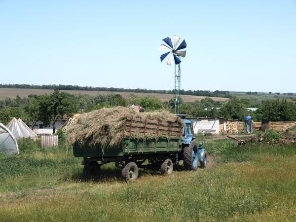 Эх, хорошо-то как летом в деревне